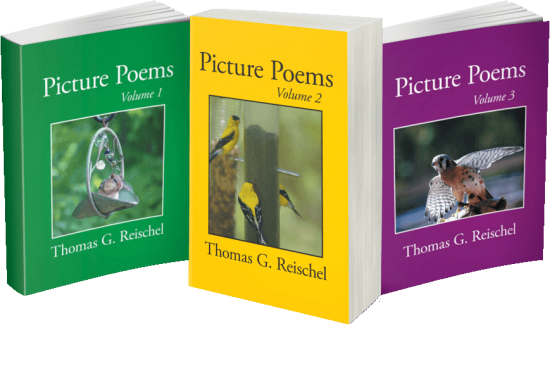 Teaching Poets through the Picture Poems Collection 1